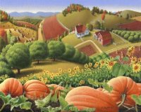 Pumpkins at the Farm