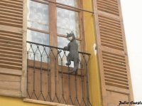 ¿ es un gato real o no ?