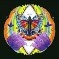 Butterfly by Cat Hawkins