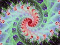 Fractal explorer