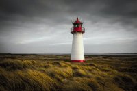 faro 8