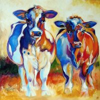 Cows