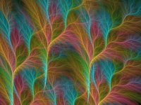 Fine Feathers by Thelma
