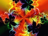 Flame fractual Flowers