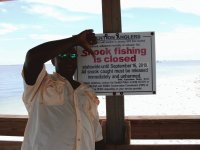 SNOOK SEASON