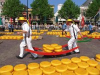 Cheese Market Alkmaar the Netherlands