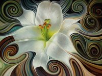 Dynamic Lily by Ricardo Mendez