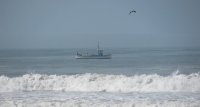 Playa Punta de Bombón