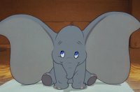 dumbo