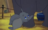 dumbo