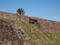 Cannon