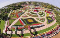 Jardim