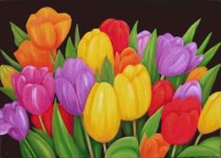 Dutch Tulips