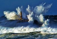 olas