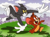 tom e jerry