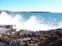 Maui Surf