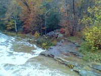 forneys mill