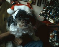 my little katiebug