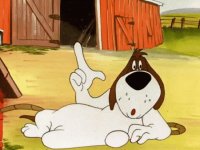 cão