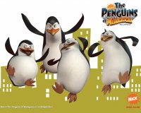 pinguinos