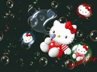 kitty