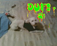 DUFFY