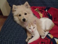 mica e luky