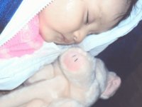 chanchito
