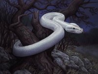 Serpiente blanca