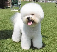 podle