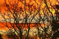AMANECER