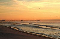 Gulf Shores, AL