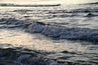 Gulf Shores, AL