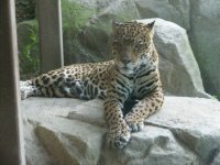 Southwick Zoo