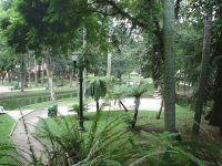 Passeio Público -Curitiba