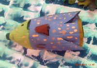 peixepet2