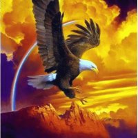 aguila