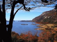 Bahía Ensenada. Tierra del Fuego. Argentina