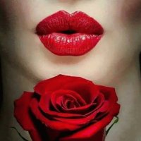 rosa