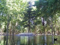 En Río Cuarto. Córdoba. Argentina