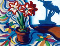 Amaryllis by Tracy Turner
