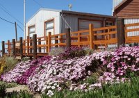 En Puerto Pirámides. Chubut. Argentina