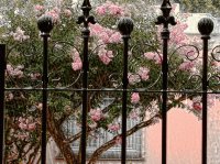 En la Ciudad de Córdoba. Argentina