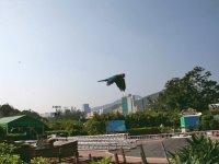 Hong Kong Ocean Park