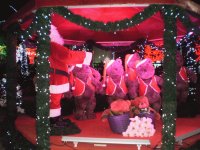 natal