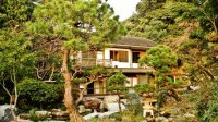 En un bosque de bambú. Japón