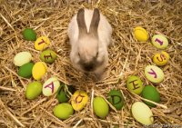 tierno