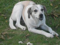 Pose pra foto- Capri