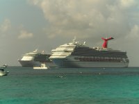 cruise