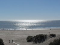 PLaya